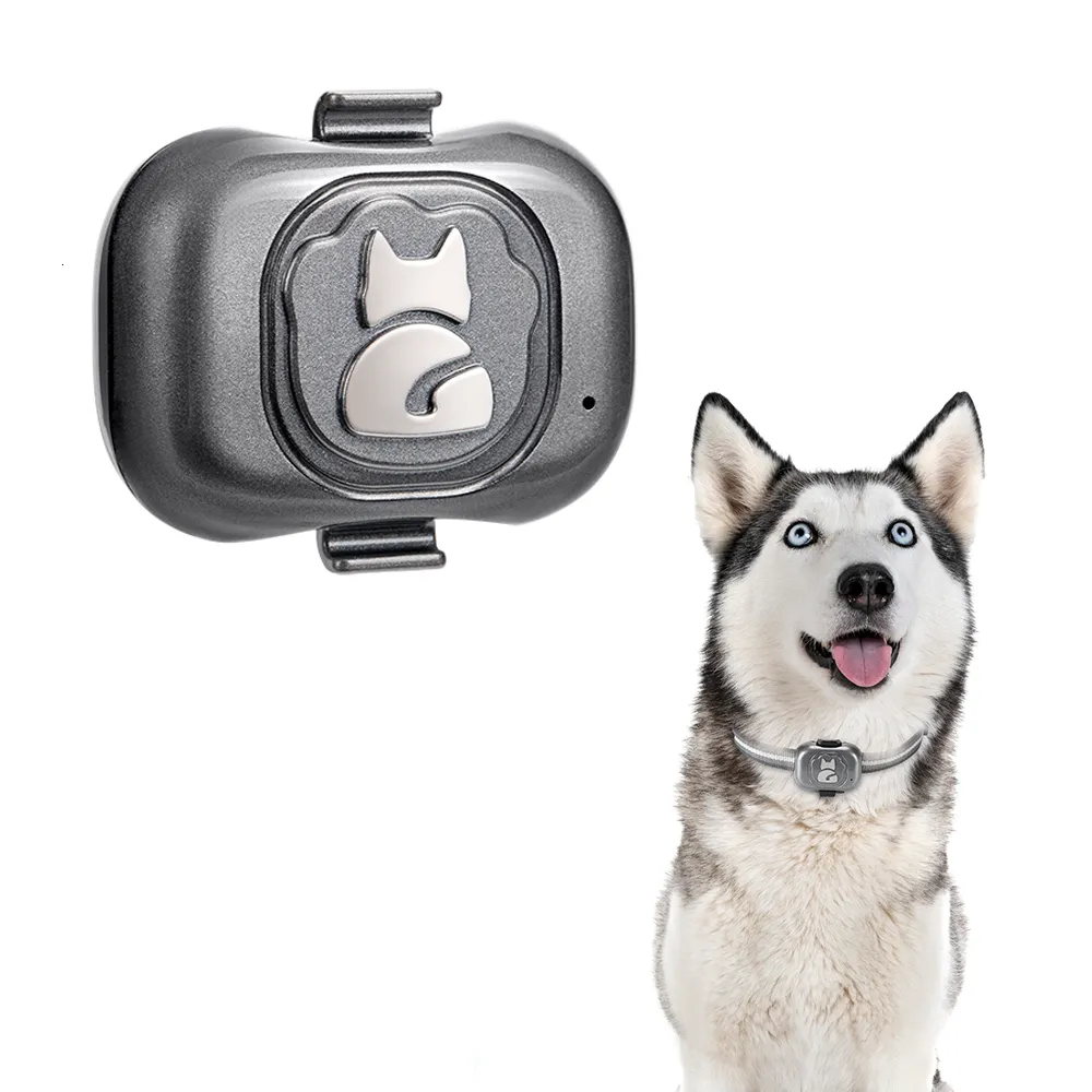 Diğer Köpek Malzemeleri 4G GPS Tracker Köpekler Bulucu Su Geçirmez Kayıp Cihaz Anti Kayıp Cihaz Akıllı Telefon Nesnesi Bulucu Küçük Alarm Pet Anti Hırsızlık Yakası 230719