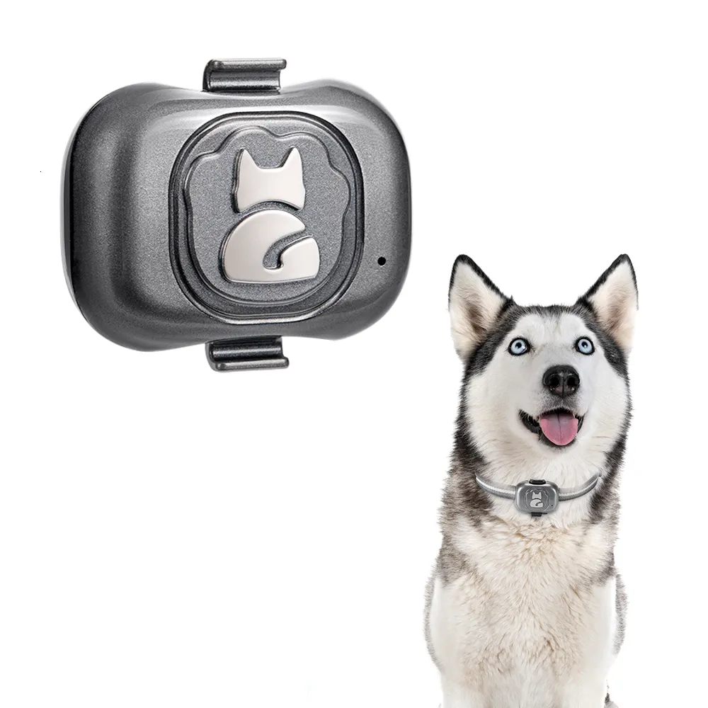 Altre forniture per cani Localizzatore GPS 4g per localizzatore di cani Dispositivo anti smarrimento impermeabile Rilevatore di oggetti per smartphone Piccolo allarme Collare antifurto per animali domestici 230719