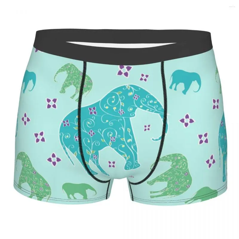 Boxer con elefante sale