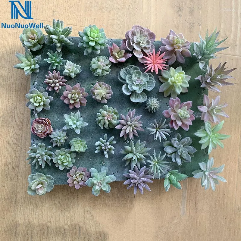 Fiori decorativi NuoNuoWell DIY 20pcs Tipo misto Piante succulente artificiali Pianta da parete Paesaggio Cornice 3D