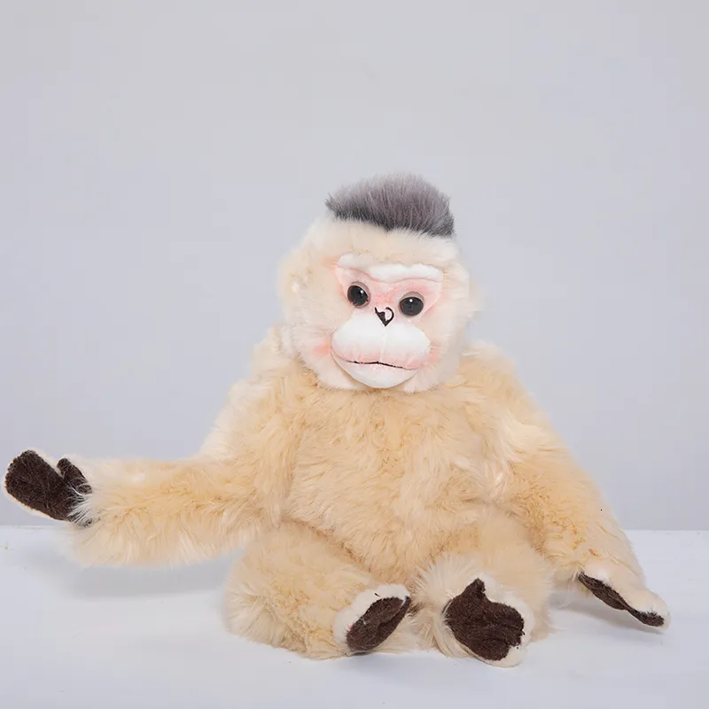 Plush Dolls Lifelike Sitting Golden Monkey Stuffed Animal Toys Real Like Soft Snub Nosed Monkey Stuffed toy Gifts Stuffed Small Plush Pillow 230718