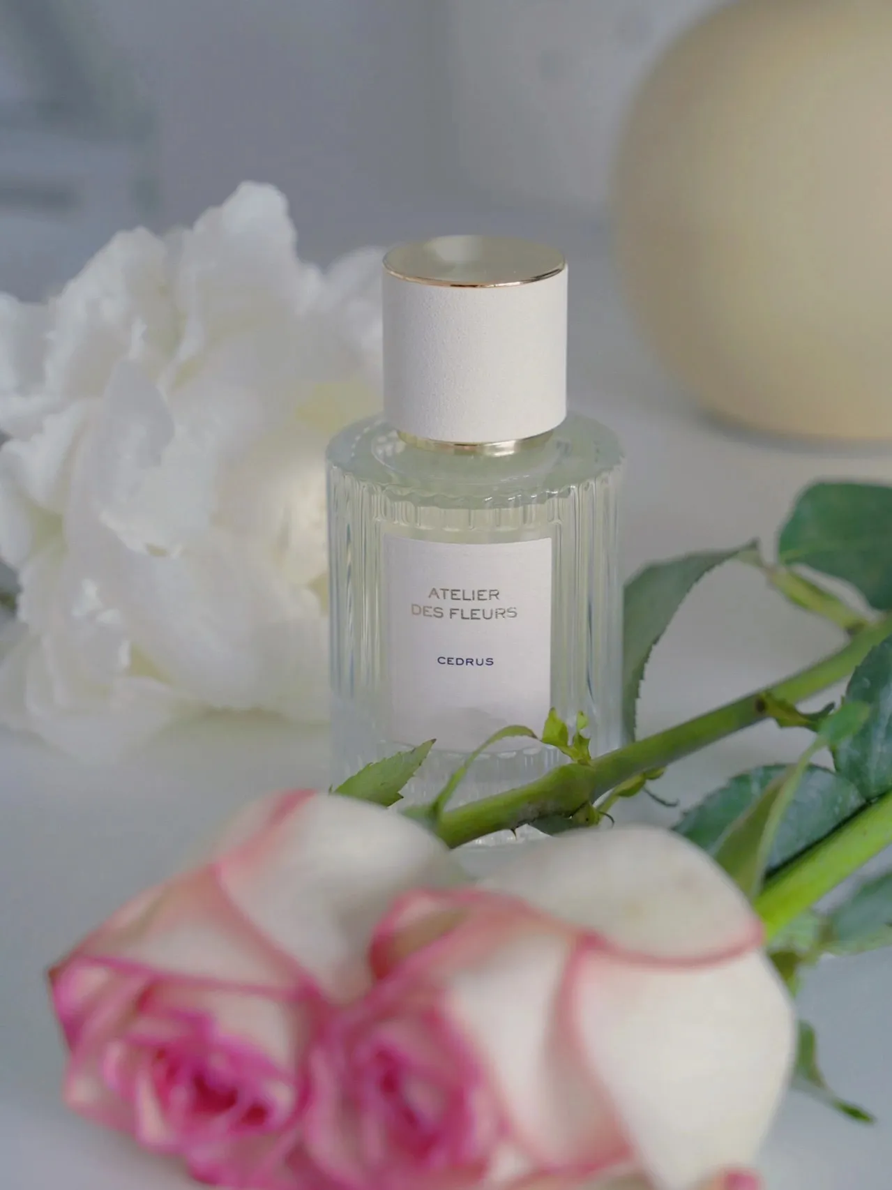 Ambientador de marca de marca Perfume feminino Atelier Des Fleurs Cedrus EDP 50ml Fragrância natural e perfume de alta qualidade Spray de longa duração Envio rápido
