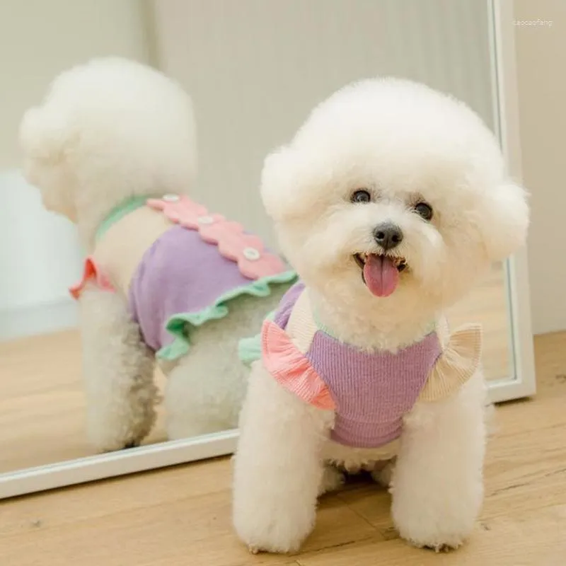 Vestuário para cachorro lindo manga voadora vestido de cachorro fino roupas para animais de estimação outono e inverno pulôver quente camisa de pelúcia com fundo de moda