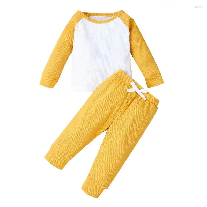 Conjuntos de ropa para bebés recién nacidos, conjunto de ropa para niños y niñas, camisetas de manga larga a juego de colores, pantalones, trajes de otoño de 2 uds.