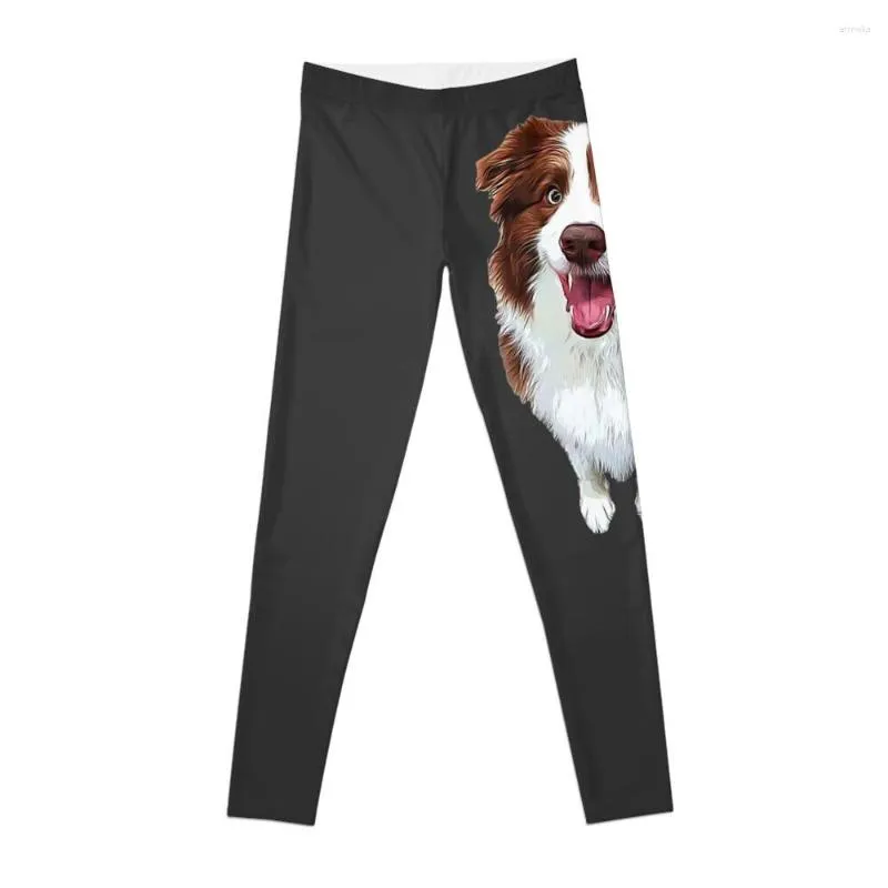 Active Pants Border Collie- Chocolate Brown Beauty Leggings Sports For Women Gym Leggings Fitness