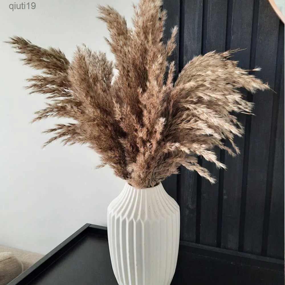 Torkade blommor Pampas gräsbukett fluffiga torkade blommor för vardagsrum Boho Mariage Flower Vase Arrangement Wedding Arch Decoration R230720