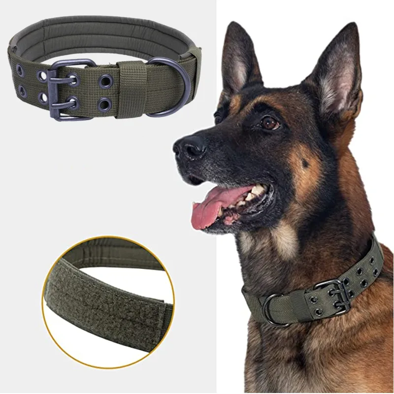 Cintura di sicurezza regolabile per cani disponibile in magazzino, Collari  per cani regolabili: comfort e stile per il tuo animale domestico