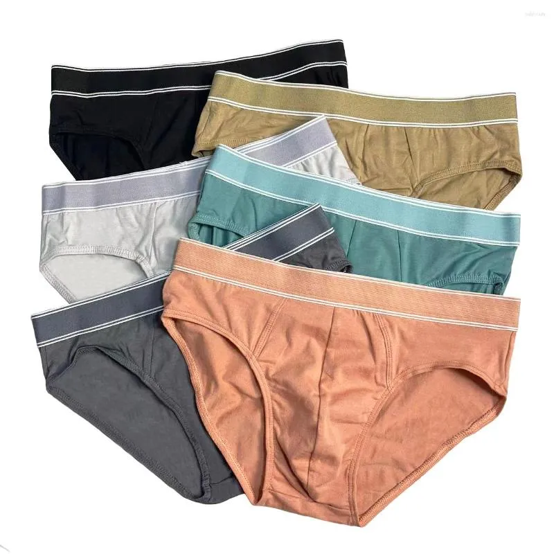 Slip 4 pièces/lot hommes slips Sexy sous-vêtements hommes coton confortable impression culotte mâle Lingerie respirant Cuecas 2023