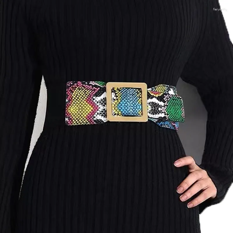 Paski kolorowy wzór węża elastyczna dla kobiet trend metalowy kwadratowy dekoracja sukienka do dekoracji rozrywki szerokiej talii