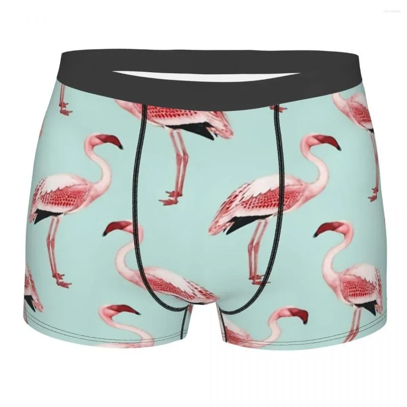 Руководители Boxer Boxer Boxer hourspants Flamingo