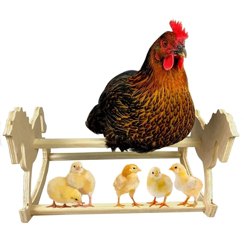 Toy top parrot argos