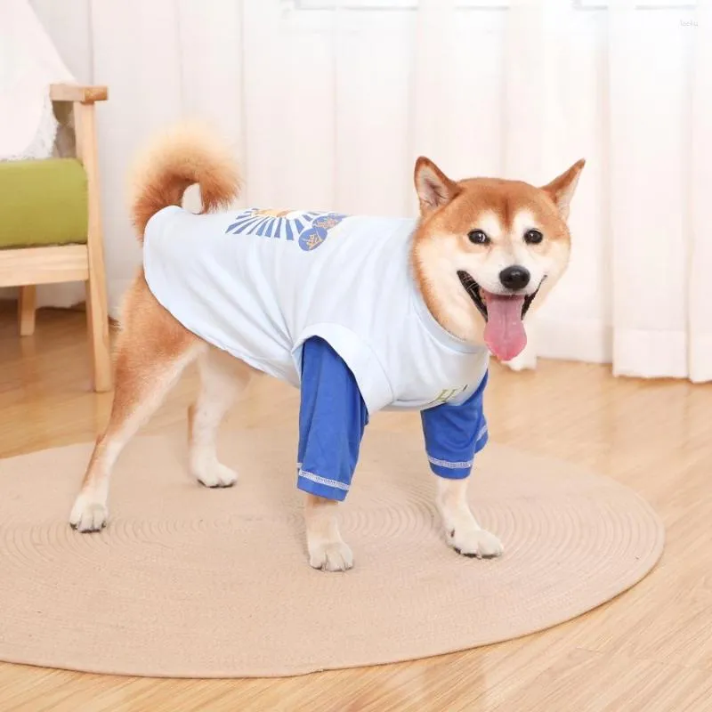 Large Two Legged Labrador Firewood Elbow Dog Apparel Kmart In Thin