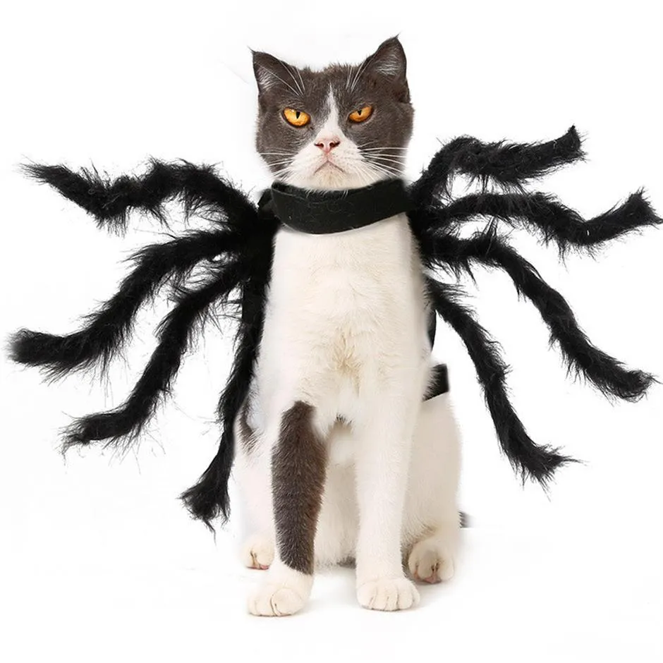 PET Super Funny Flound Speed ​​Accessessesure Halloween маленький костюм для собак кошка косплей Spider296h