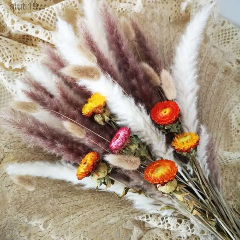 Fleurs séchées Daisy Pampa Herbe Décoration Arrangement De Mariage Matériaux Naturel Phragmites Fleurs Séchées Bouquet Boho Home Room Decor R230720