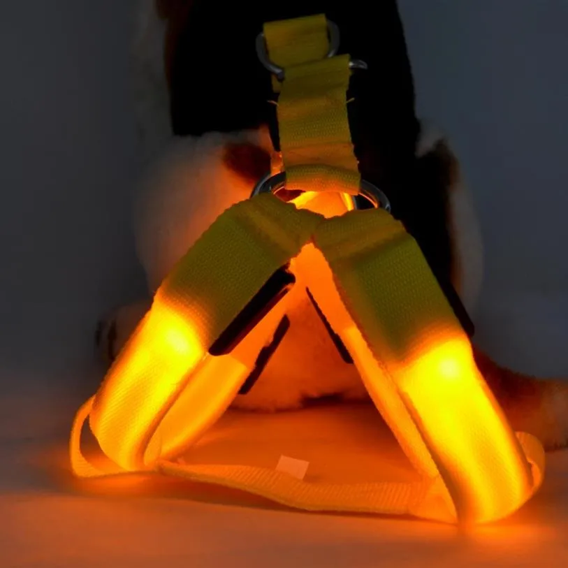 Safety Dog Pet Belt Harness Glow LED blinkande lätt koppel Tether färger Ljus upp hundsele Pet Supplies274e