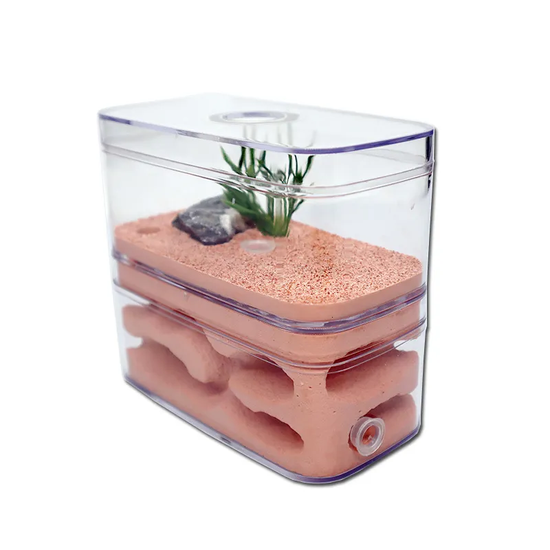 Fournitures pour petits animaux Boîte à insectes en plâtre pour ferme de fourmis hautement hydratante avec atelier Pet Anthill Castle Maison écologique naturelle 12610cm 230720