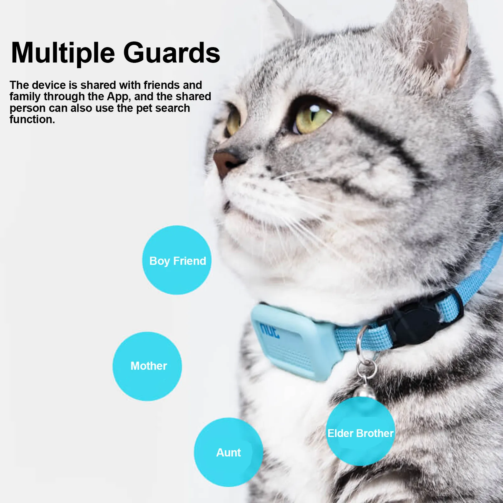 Pet locator for cats online