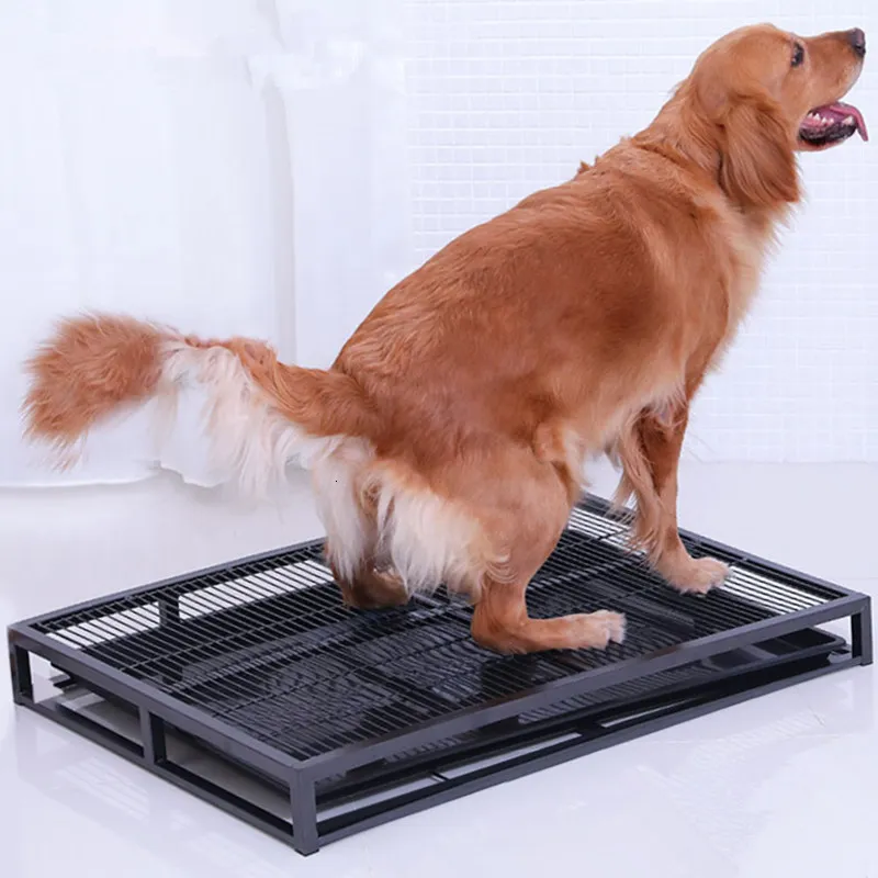 chenils stylos DogToilet Toilettes pour chiens d'intérieur Bacs à litière en acier inoxydable pour grands chiens Formation Puppy Box Bassin de sable Outils de nettoyage pour animaux de compagnie 230721