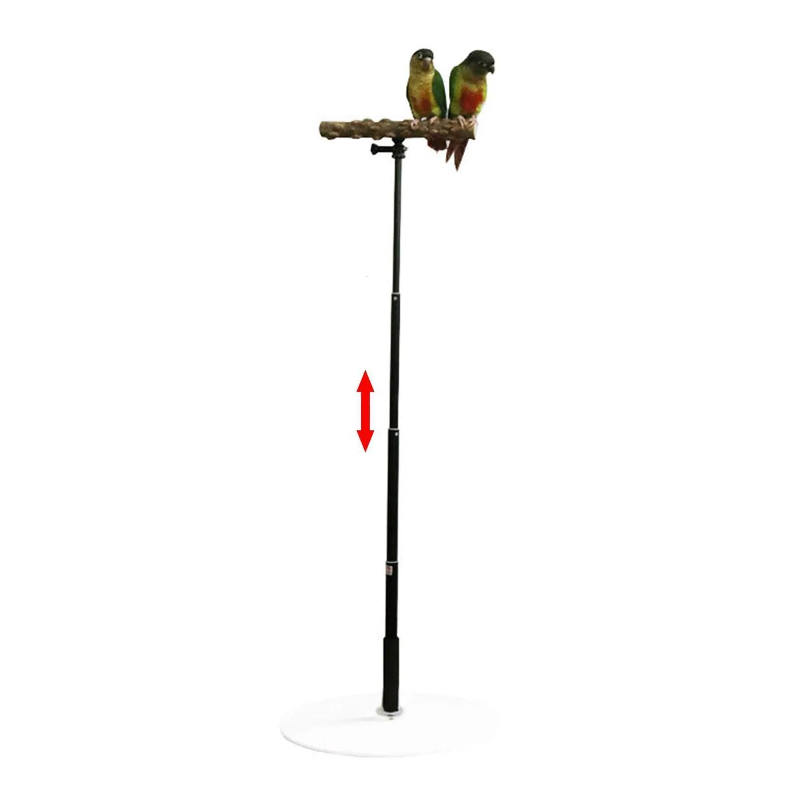 T Stand Parrot Training Playing with Base Cage Bird Perch Standing for Finch