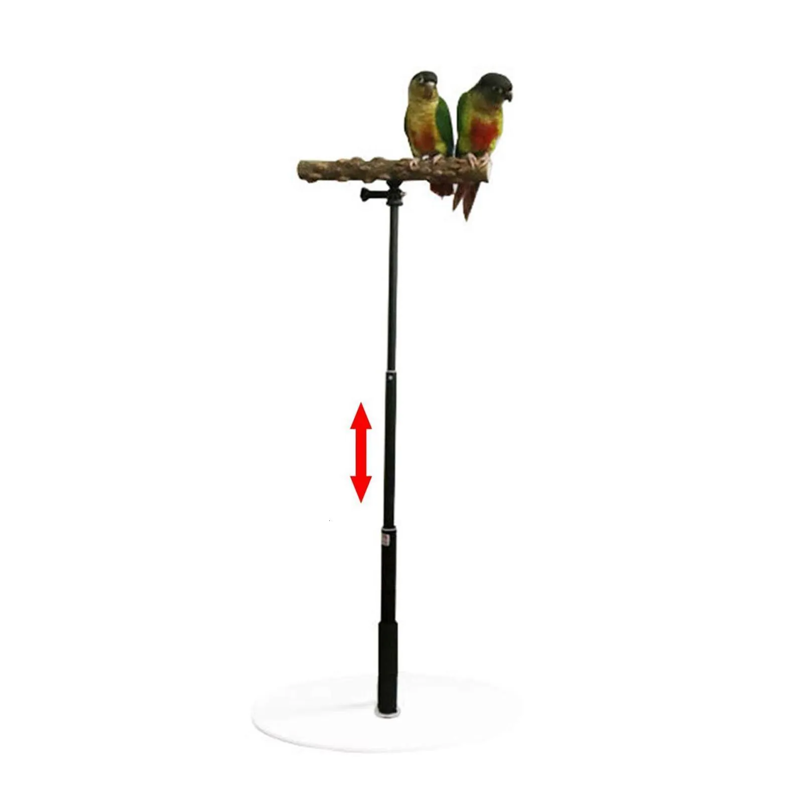 T Stand Parrot Training Playing with Base Cage Bird Perch Standing for Finch