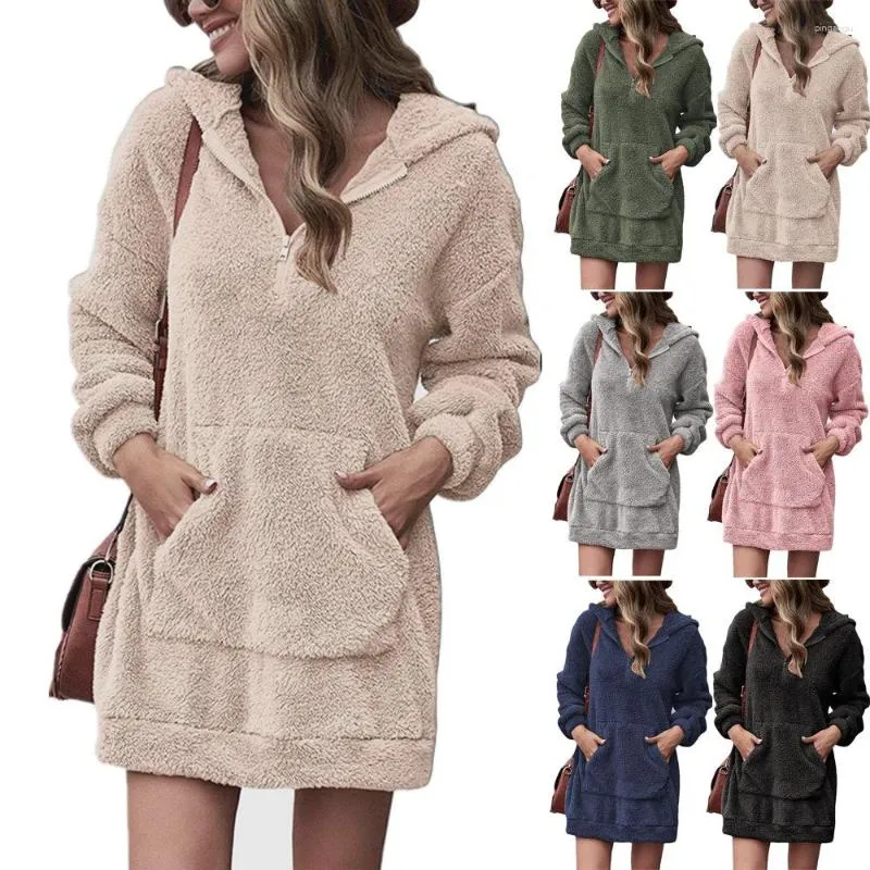 Robes décontractées automne hiver fermeture éclair solide à manches longues robe femmes sweat à capuche mode Vintage poche ample grande taille