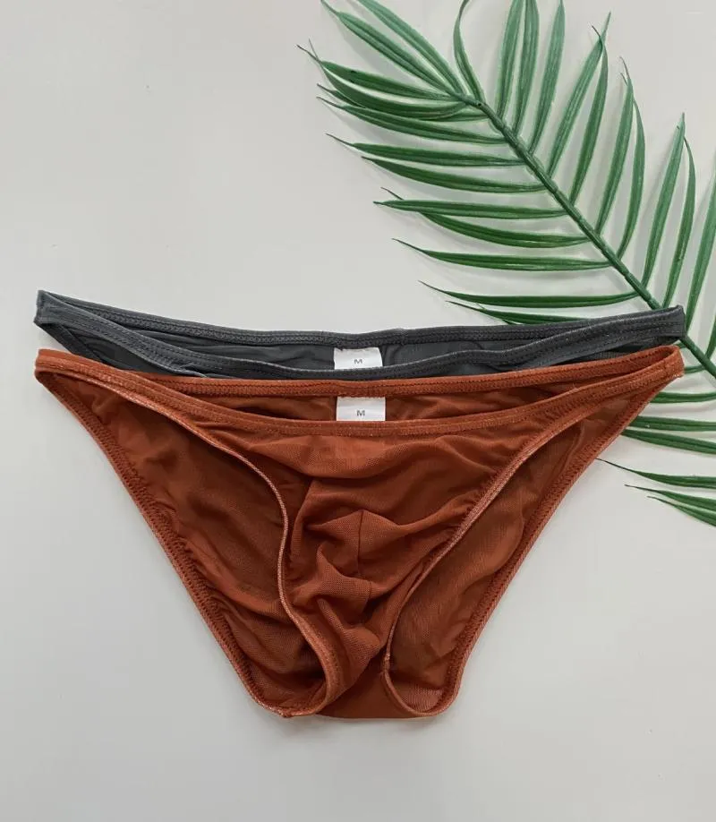 Slip 2023 marque de mode hommes slips solides Triangle poche U taille basse maille Sexy sous-vêtements transparents