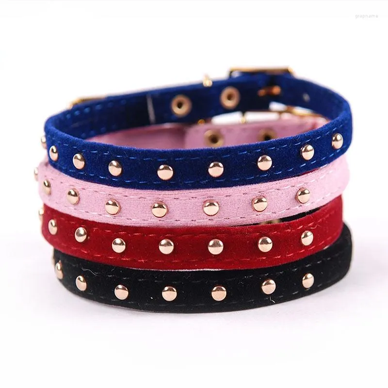 Colliers pour chiens collier de chat avec cloche chiot de sécurité pour chats petits chiens chatons collier pour animaux de compagnie solidehu produits collier