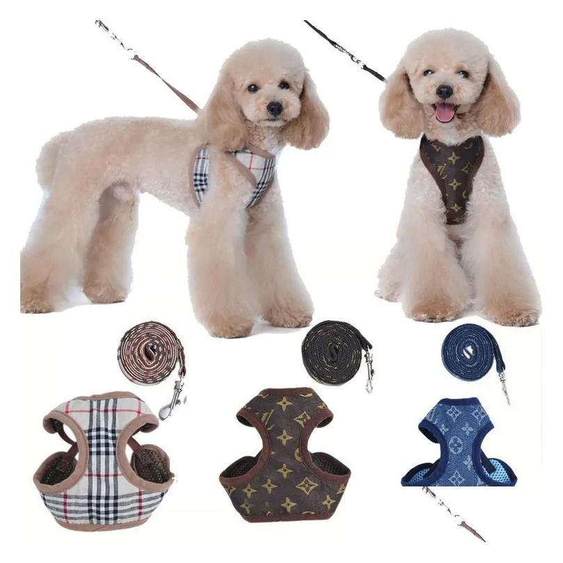Hundkrage Leashes Designer sele och ställ in klassiska mönster husdjur koppla andningsbara nät husdjursselar för små hundar poodle schnau dh3h1