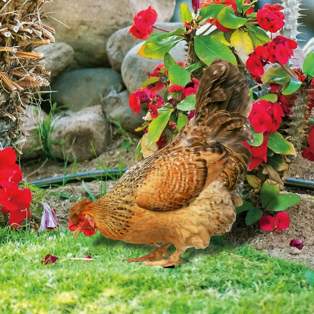 Gallina Decorativa In Ceramica Per Giardino - Decorazione Handmade Colorata - Foto 7