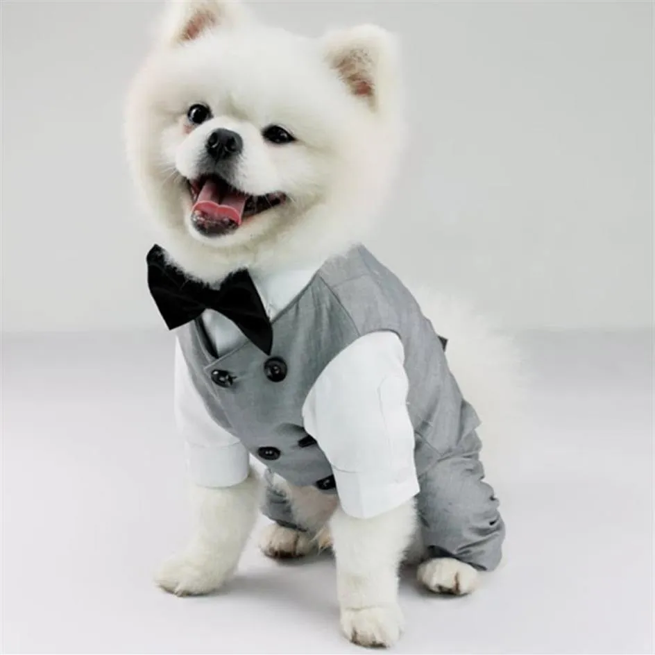 Traje para festa de aniversário de casamento de animal de estimação traje de smoking terno para raça pequena média grande colete formal com gravata borboleta cavalheiro172i