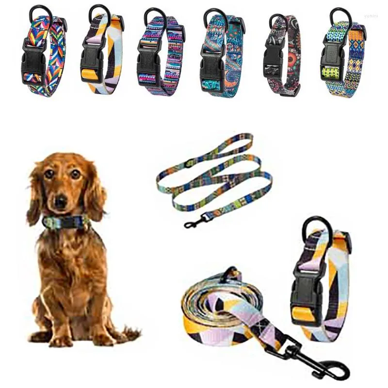 Dog Collars Adjustable Cat Collar And Leash Set Chest For Small Medium Large Dogs Training Behavior Aids Walking Strap Pet Products