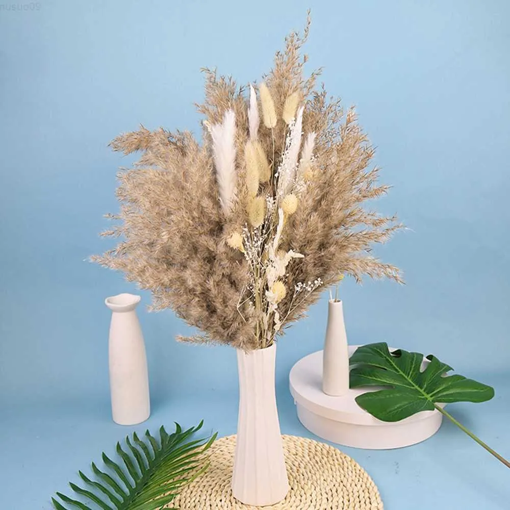 Decorative Objects Figurines Cream Small Pampas Grass Fluffy Room Phragmites Decoration Natural Bunny Tail Grass Dried Flowers Bouquet Boho Home Decor L230724