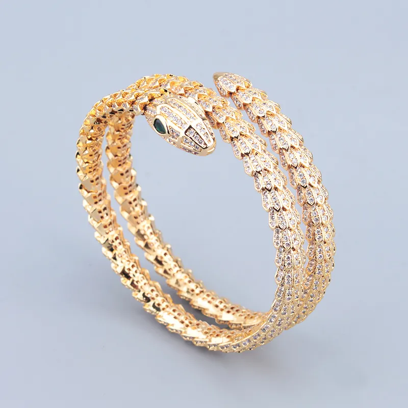 Bilayer Diamond Snake Bangle Armband för kvinnor Guld Men Charm Infinity Tennis Armband Luxur Designer Jewelry Fashion Party Wedding Presents Birthday Cool