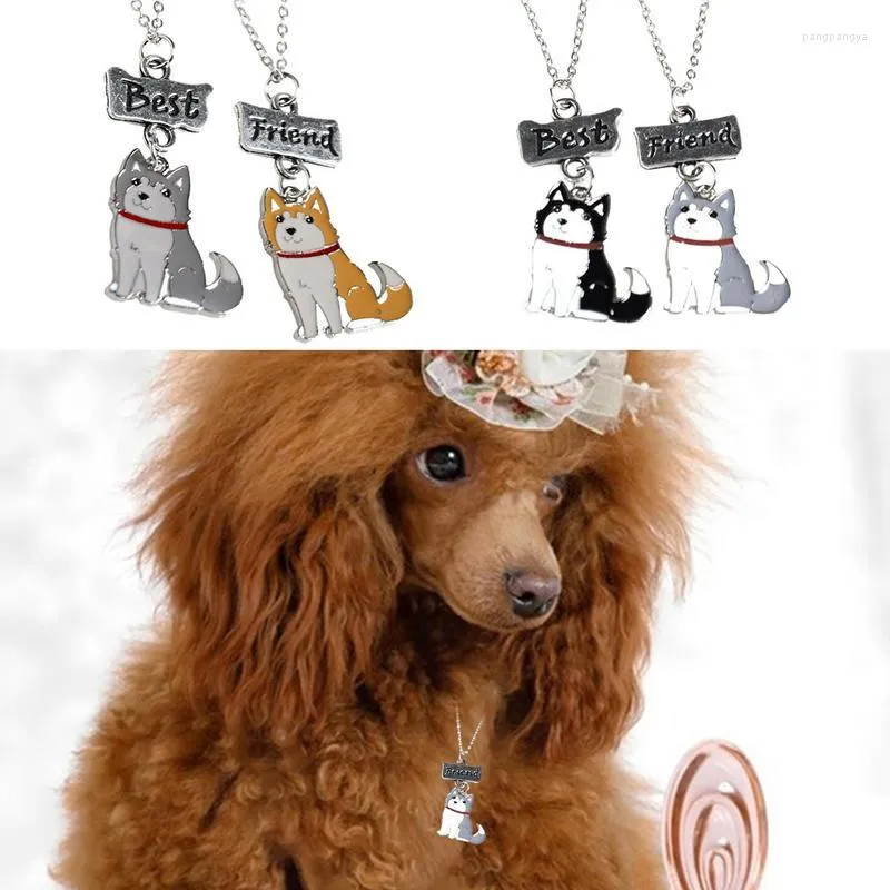 Coleiras para cães Colar com pingente brilhante e charmoso Acessório de colagem Design de joias para piquenique e acampamento Exclusivo 2 peças de desenho animado