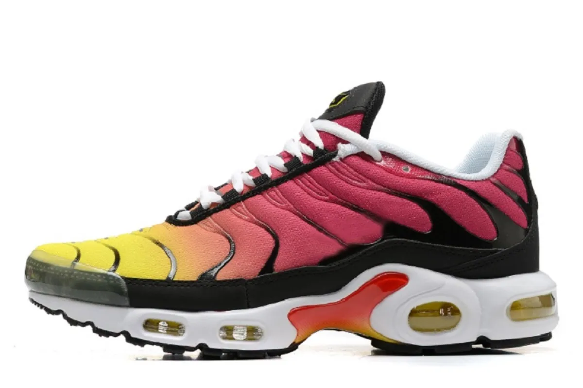 TN Fuchsia 14 311 DHgate
