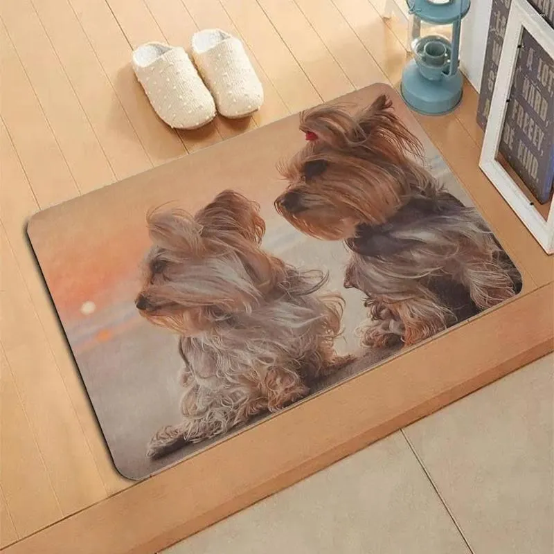 Tappeti Cane maltese britannico Zerbino Decor 3D Stampa Tappeto per animali Morbido flanella Zerbini antiscivolo per veranda camera da letto