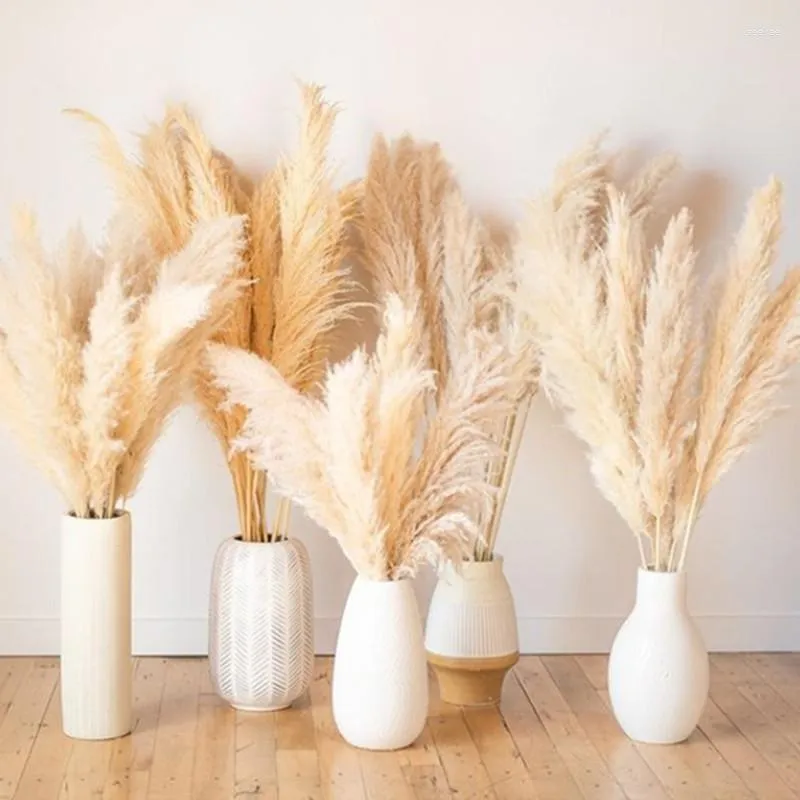 Decoratieve Bloemen 1-1.2m Natuurlijk Wit Pampas Gras Grote Grote Echte Gedroogde Boeket Kunstplanten Voor Bruiloft Thuis Woonkamer Decoratie