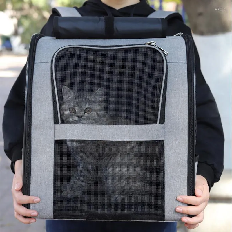 Chat transporteurs transporteur sac à dos grand espace respirant sac de voyage sortant pour chats petits chiens Transport fournitures pour animaux de compagnie