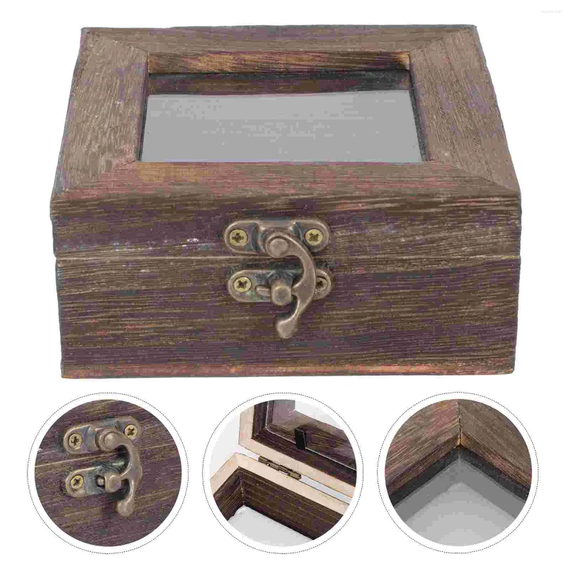 Jewelry Pouches Storage Box Retro Case Insect Specimen Lidded Wooden Holder Sample Glass Display