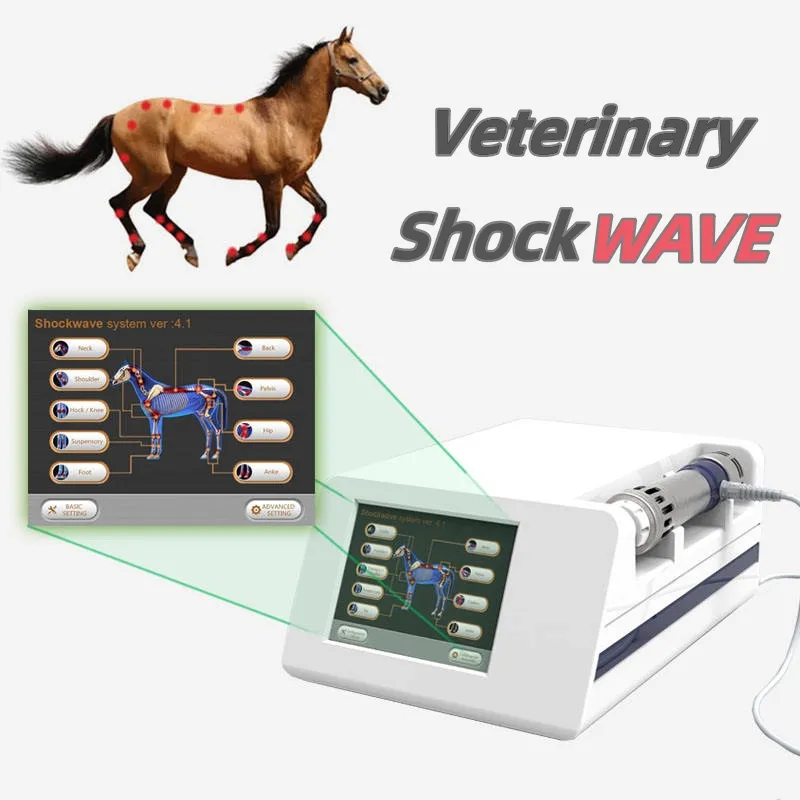 ESWT Macchina per fisioterapia veterinaria equina Dispositivo elettromagnetico per terapia ad onde d'urto con 5 pezzi di diverse dimensioni della punta Trattamento per artrosi equina