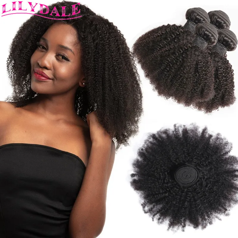 Tessuto di capelli ricci afro crespi in pizzo 1-4 pacchi Affare Capelli 100% capelli umani 8-20 pollici Capelli di colore naturale Vendita all'ingrosso Lilydale 230724