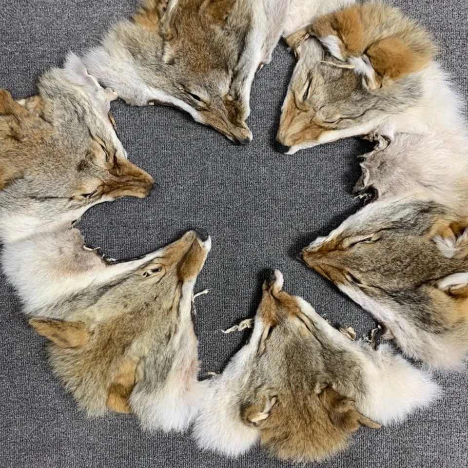 High Quality Natural Wolf Scalp Figurines Perfect For DIY Home