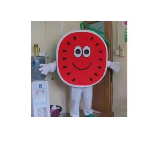 Discount factory hot Adult Cute BRAND Cartoon New Professional Watermelon Mascot Costume Fancy Dress Party costume