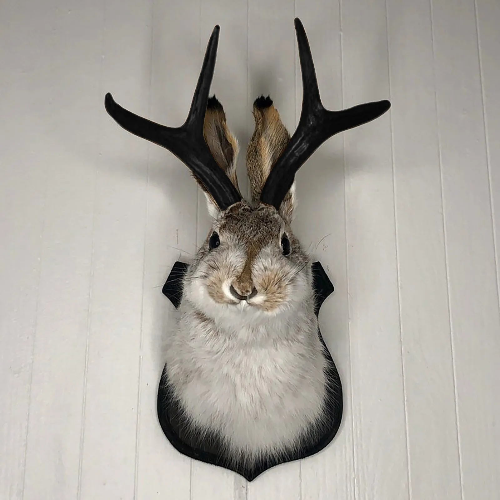 Decorative Objects Figurines Taxidermy Head Wall From 7,48