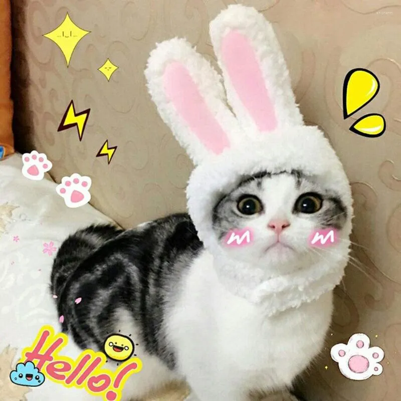 Kattdräkter söt husdjur kostym hatt plysch med öron för katter små hundar fest halloween tillbehör huvudbonader