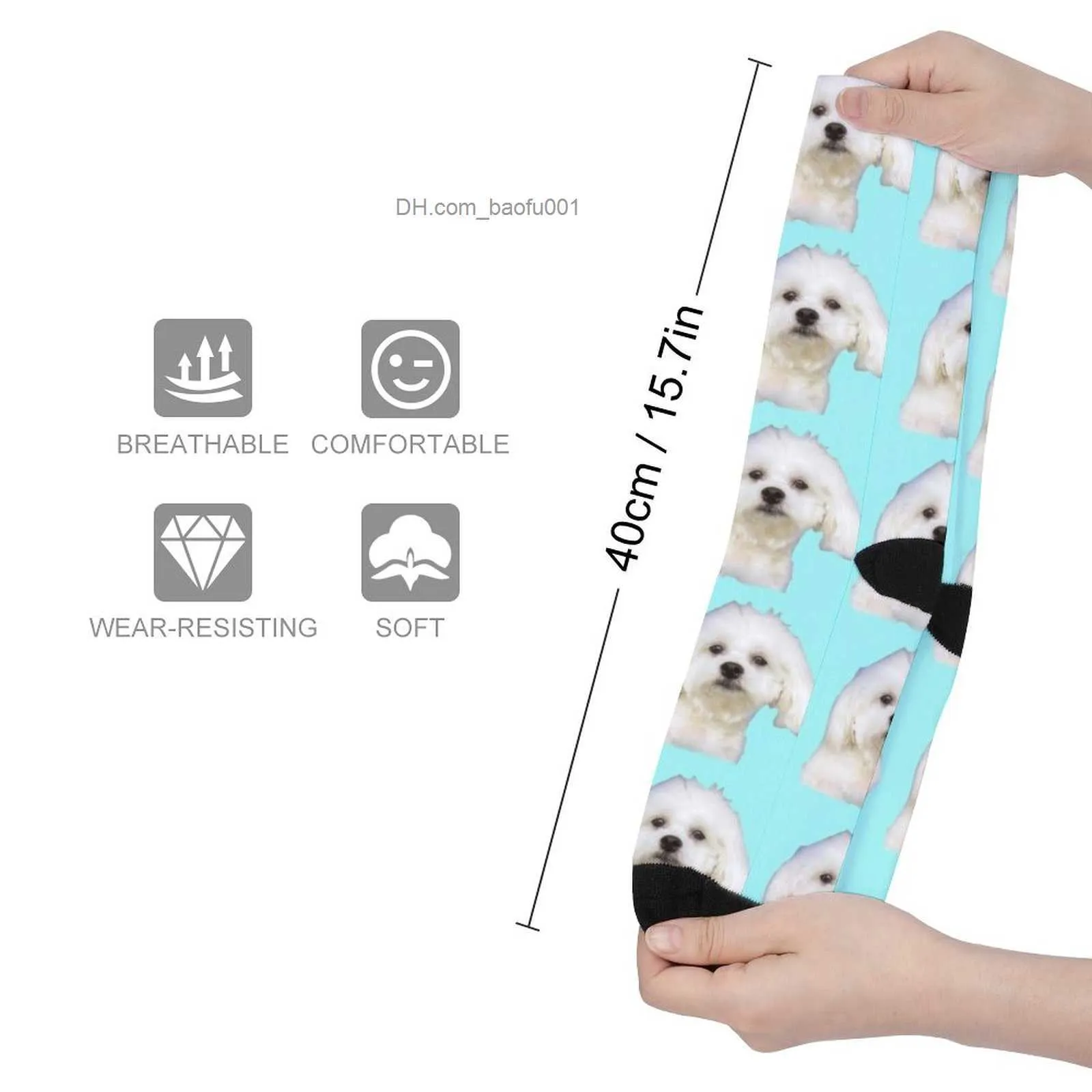 Chaussettes pour hommes chiot maltais portant des chaussettes bleues chaussettes de sport chaussettes pour hommes chaussettes de dessin animé Z230727