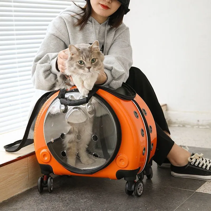Pet trolley case out portable transparent cat and dog bag pet backpack
