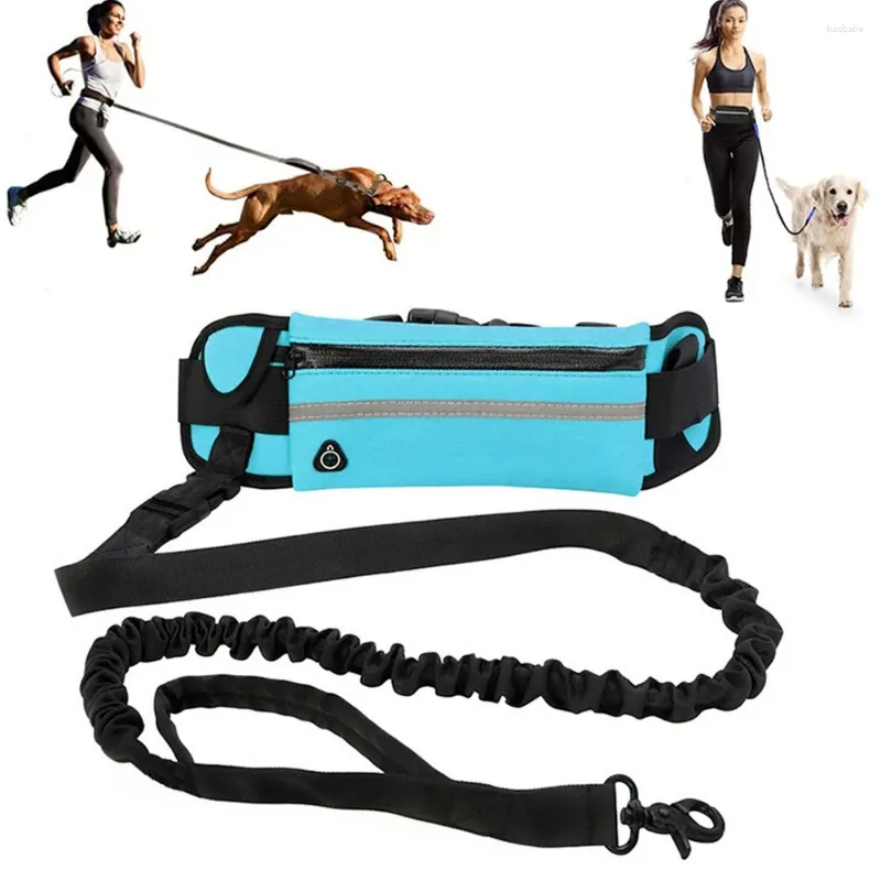 Dog Collars Hands Free Leash For Running Walking Reflective With Waist Bag Retractable Elastic Belt Traction Rope Pet Products