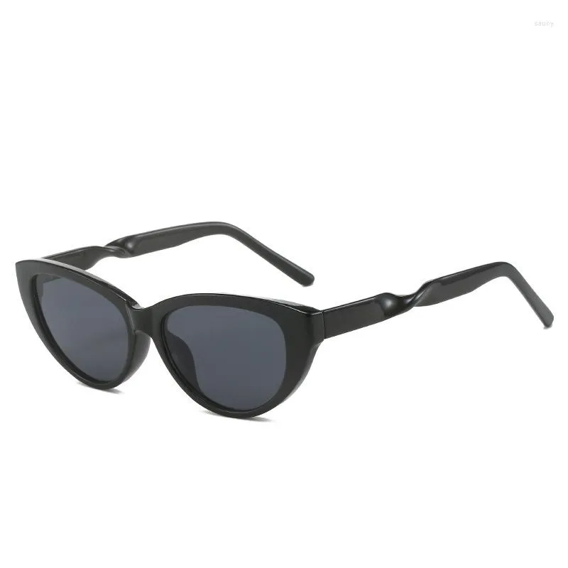 Óculos de Sol 2023 Moda Individualizado Retrô Minimalista Avançado Óculos de Sentido Versátil Tendência Haste Espiral À Prova do Sol Turismo
