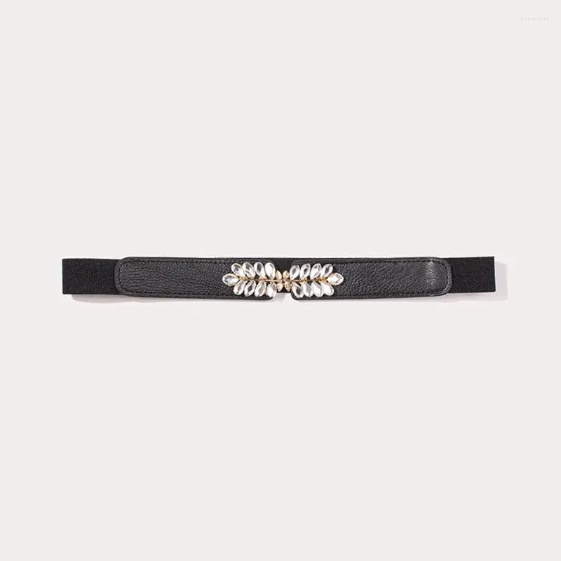 Riemen 2023 Blad Gesp Elastische Tailleband Vrouwen Fijne Imitatie Leer Diamant Verstelbare Eenvoudige Vrouwen Riem SCM0026